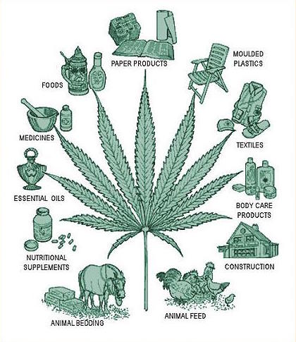 Hemp uses